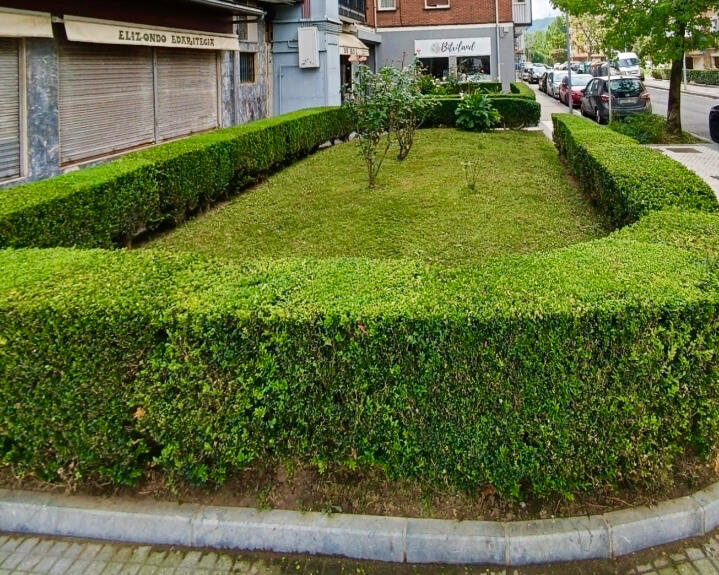Perfilado de setos Perfilado de setos
